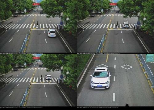 无锡导游爆料视频最新一期,最新一期爆料视频深度解析  第2张